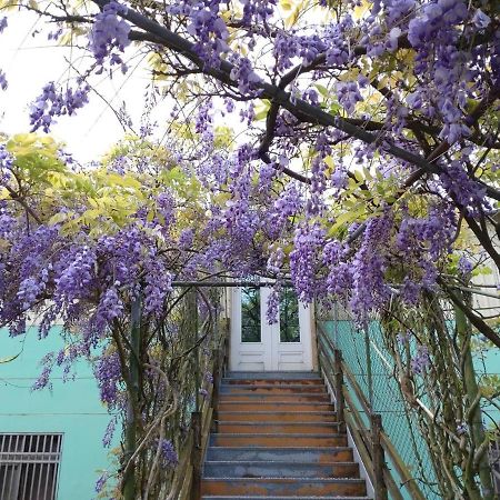 Youlin Homestay Meishan Exterior photo
